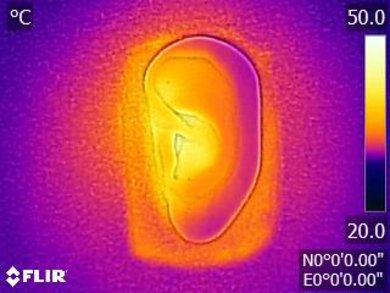 JBL E45BT Breathability After Picture