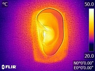 JBL Everest Elite 700 Breathability After Picture