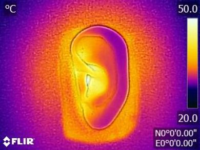 Sennheiser HD 600 Breathability After Picture