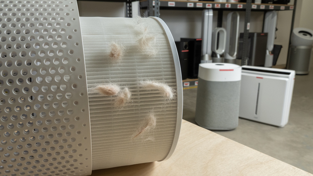 Best Air Purifiers For Pets