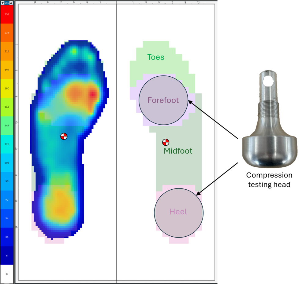 Example of customized zones in the pressure insoles software and where the compression testing head is located on the forefoot and the heel.