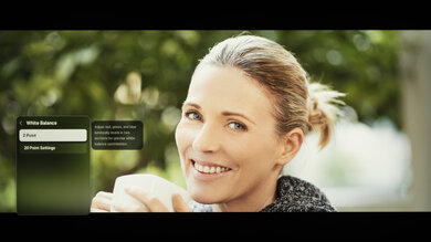 Samsung QN70F Calibration Settings 30