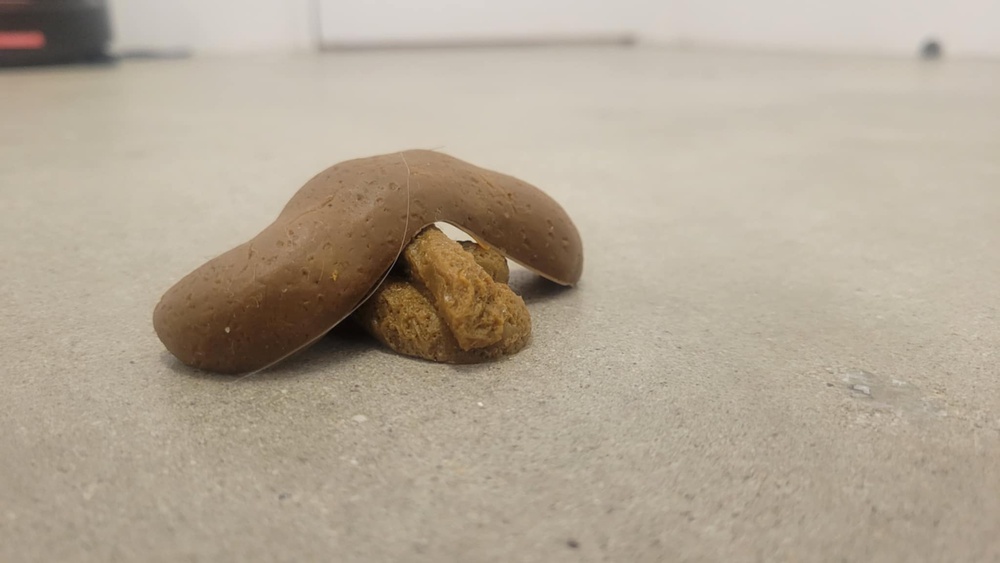 Fake pet waste, arranged with a long deposit resting on a short deposit.