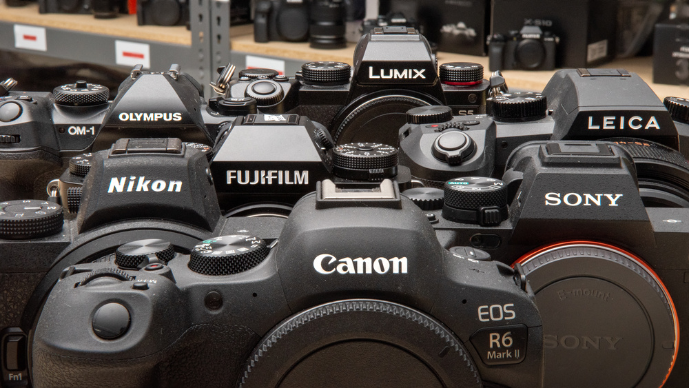 The 7 Best Camera Brands Winter 2024 Reviews RTINGS