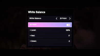 Hisense C2 Ultra Calibration Settings 18