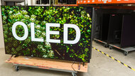 Best OLED TVs