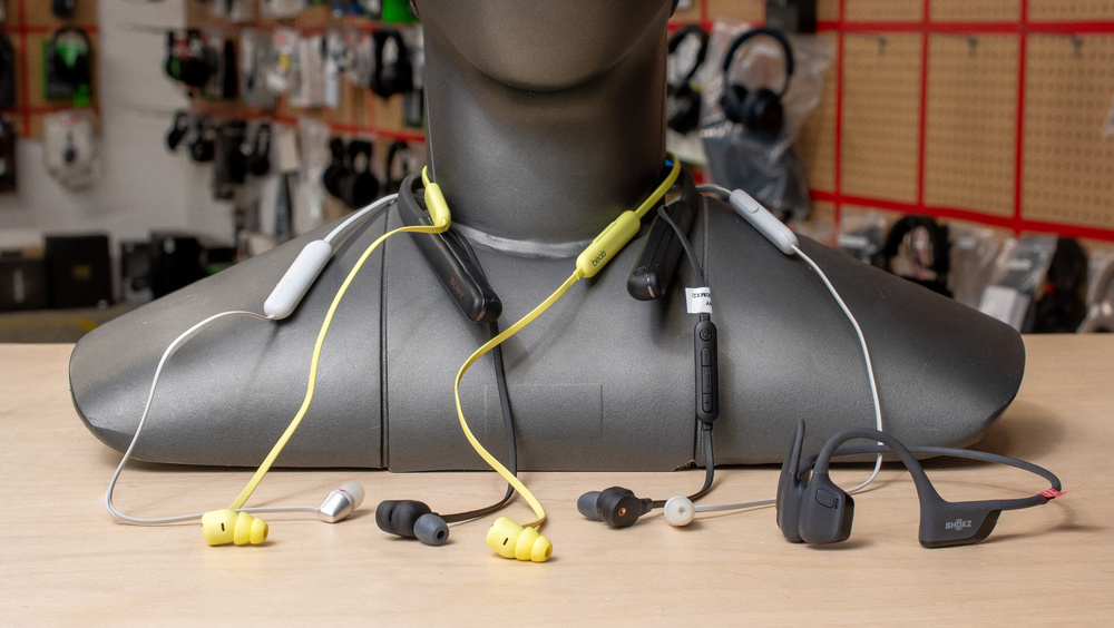 Best Neckband Headphones