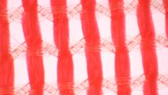 ASICS METASPEED SKY TOKYO Upper Microscope Photo
