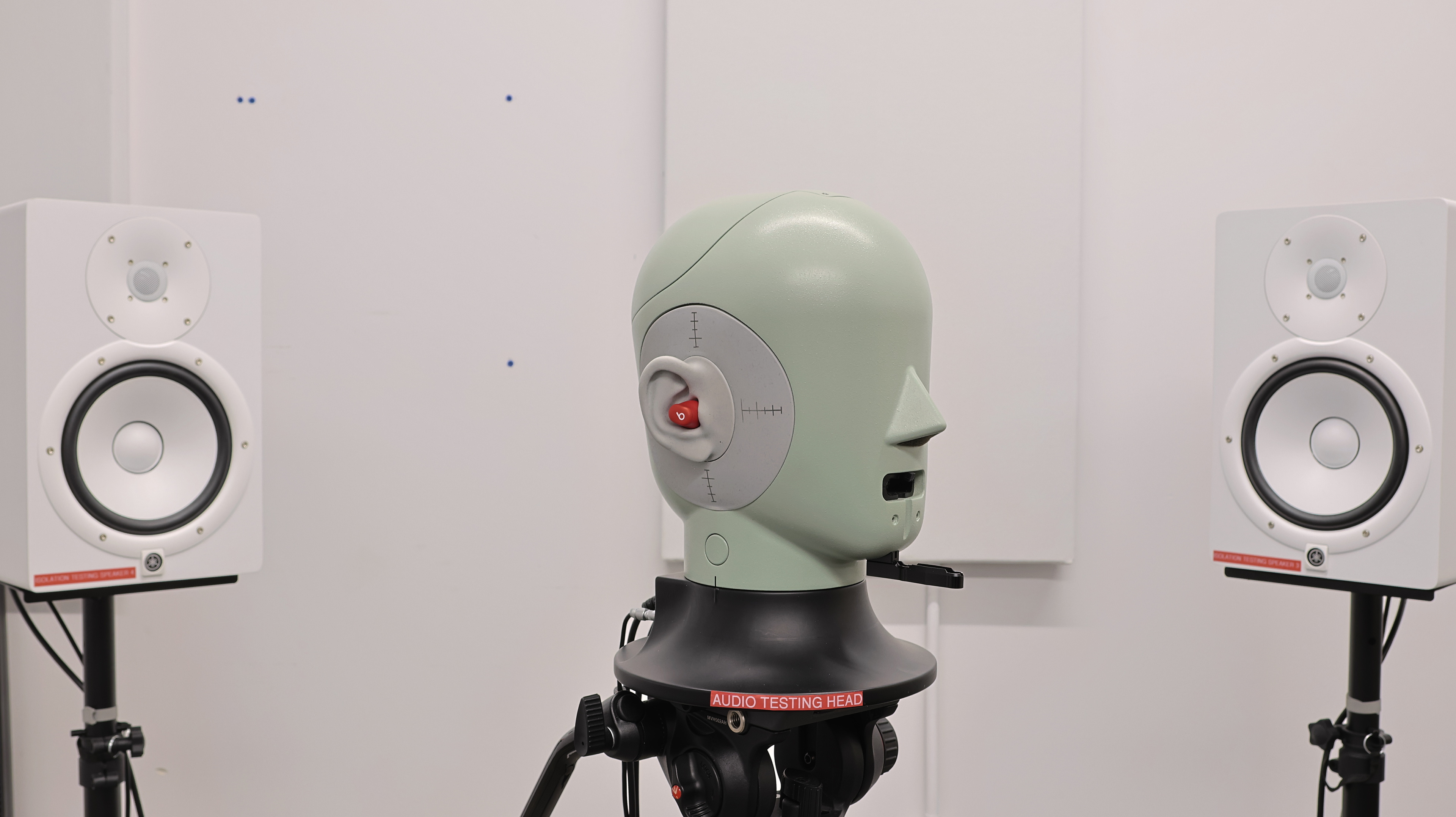 perceptual testing image