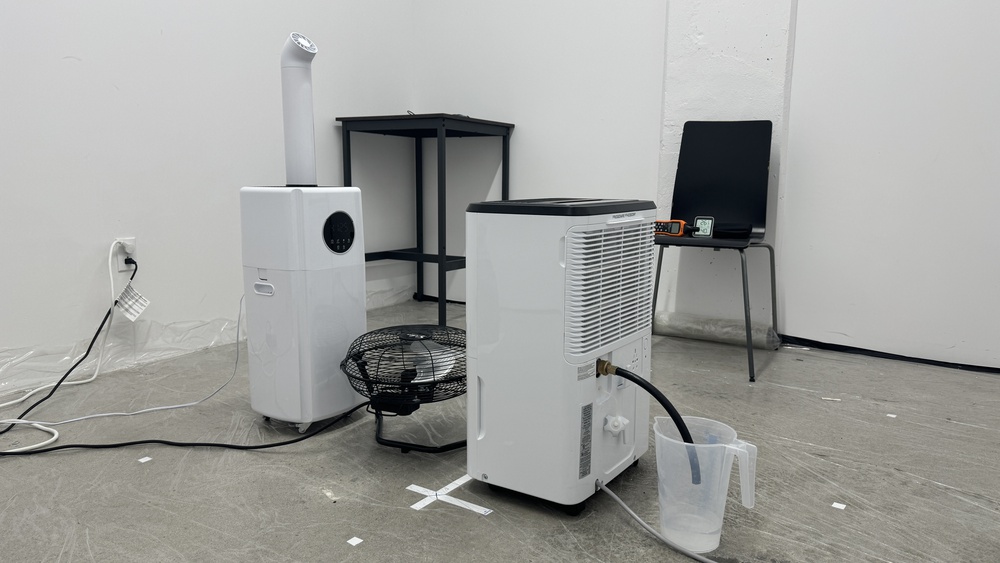 perceptual testing image