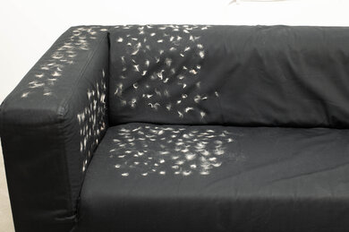 Shark IQ Robot RV1001 Sofa Pickup Post Test