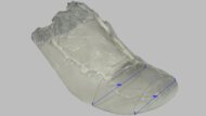 Altra Torin 9 Forefoot Width Photo