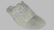 ASICS METASPEED EDGE PARIS Arch Fit Photo