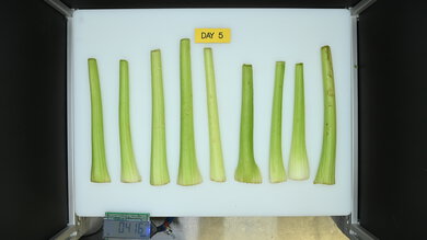 Whirlpool WRT318FZDW Produce Picture (After)