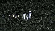 HOKA Clifton 11 Upper Microscope Photo