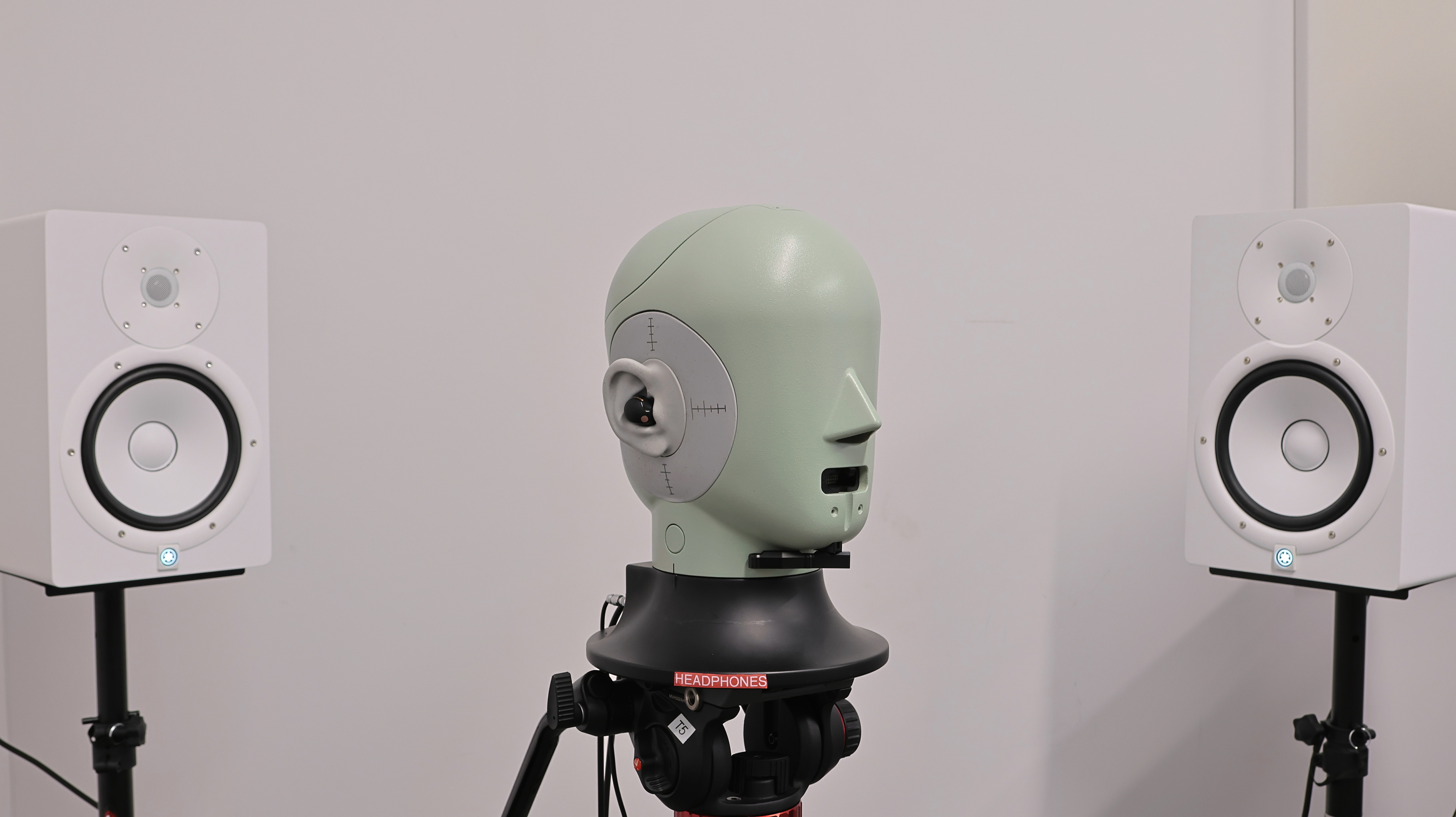 perceptual testing image