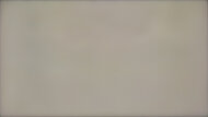 TCL 98QM8K 50% Uniformity Picture