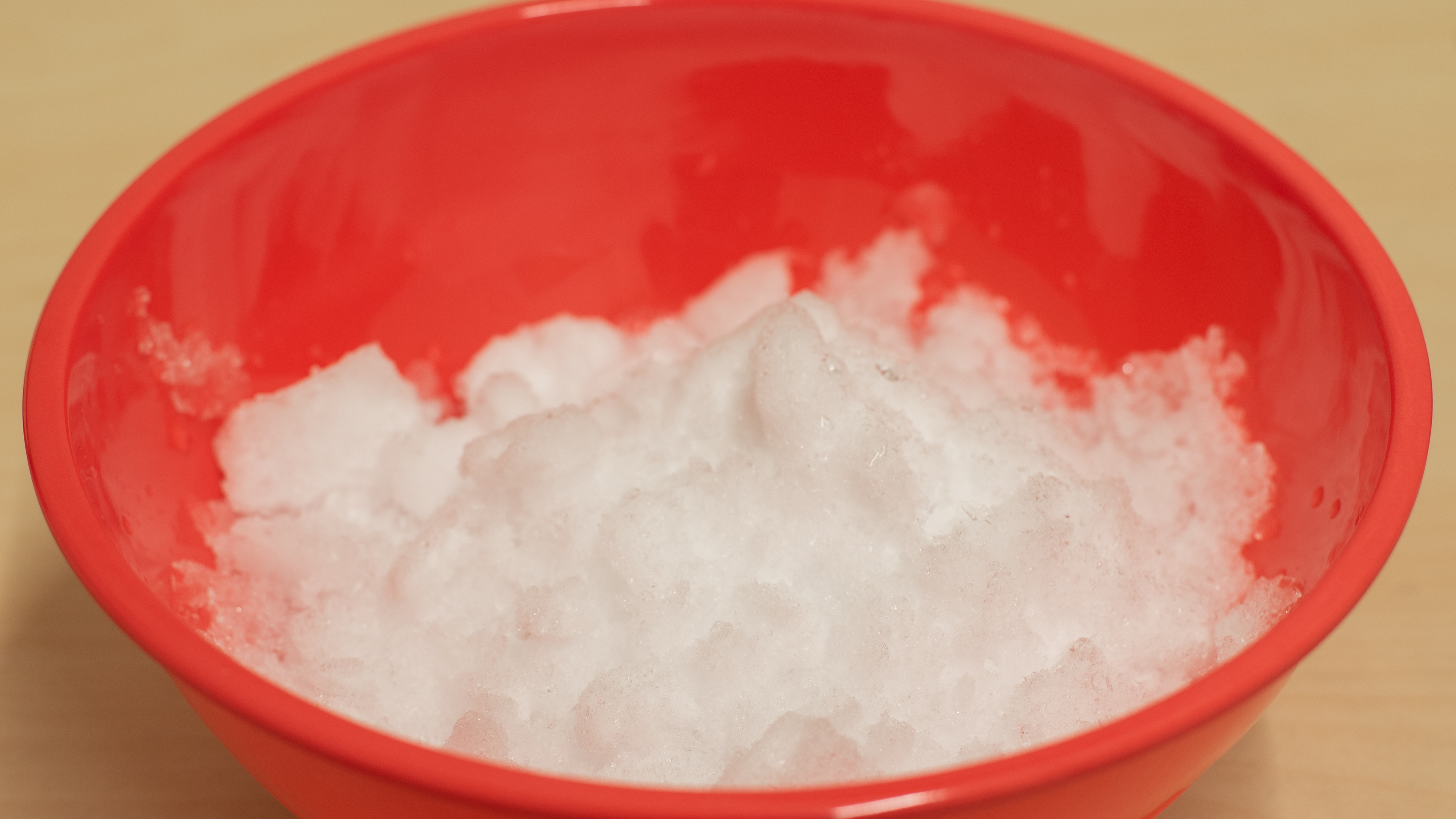 Ninja Nutri Ninja Pro Review