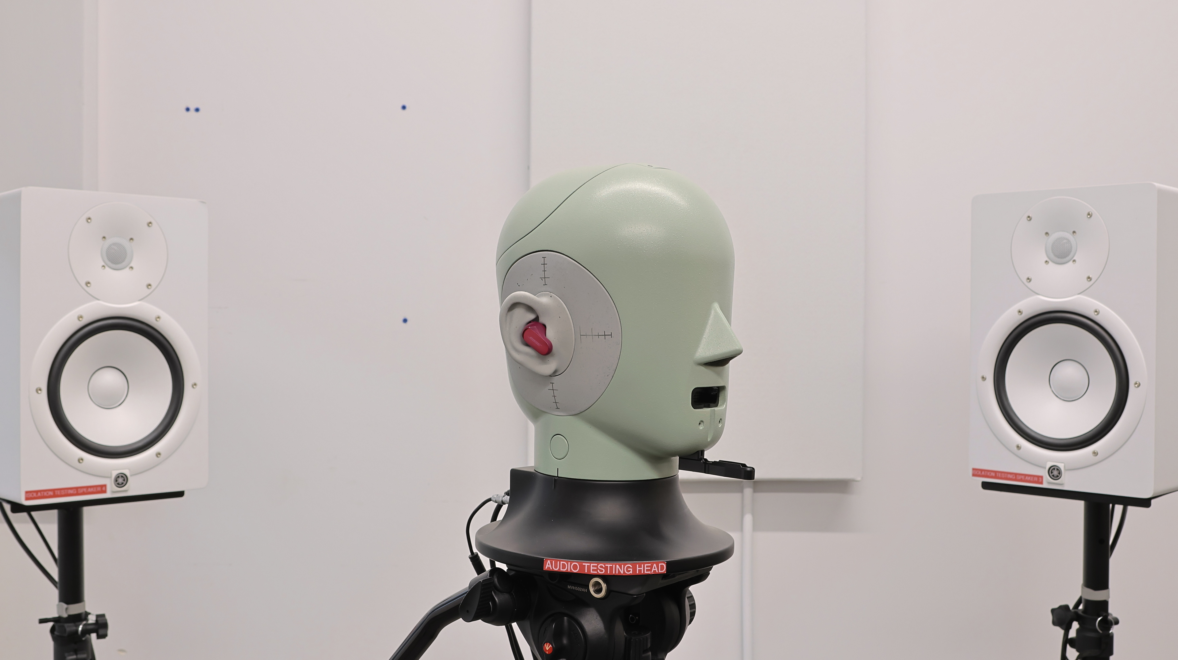 perceptual testing image