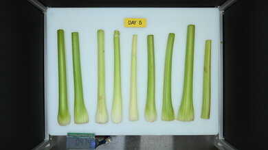 Frigidaire Gallery GRMC2273CF Produce Picture (After)