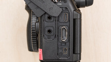 Nikon Z 6III Input Picture