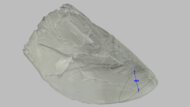 Kiprun Kipstorm Elite Forefoot Height Photo