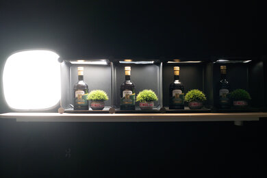 Panasonic LUMIX S5 IIX Dynamic Range Scene