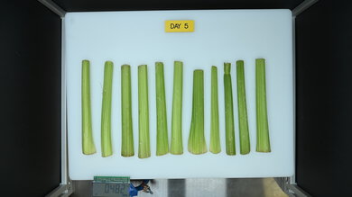 Café CGE29DP2TS1 Produce Picture (After)