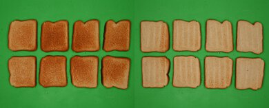 Anova Precision Oven 2.0 Unprocessed Toast Picture