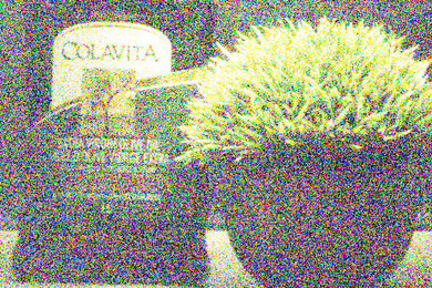 Panasonic LUMIX ZS80 Noise Scene Crop