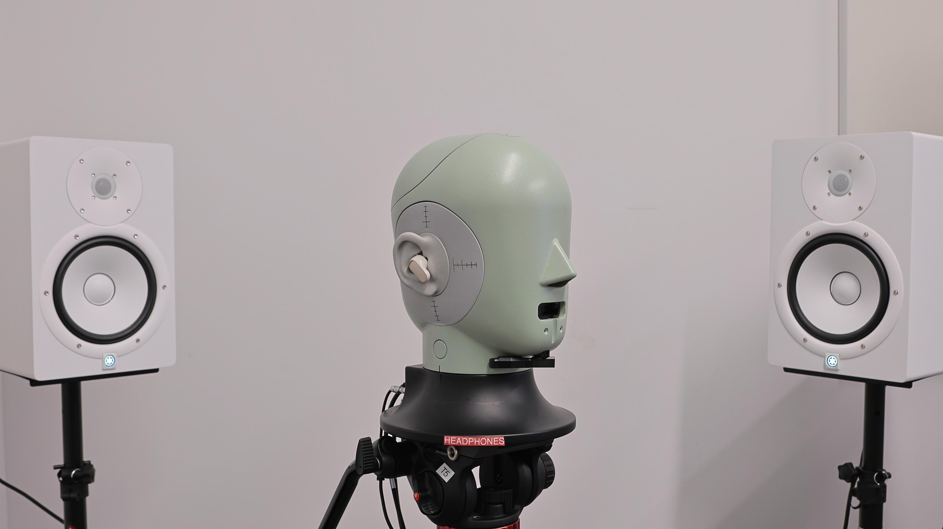 perceptual testing image