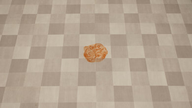 Dyson Cinetic Big Ball Animal [Animal Pro, Multi Floor] Stain Pickup Post Test