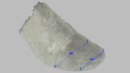 PUMA Deviate NITRO 4 Forefoot Width Photo