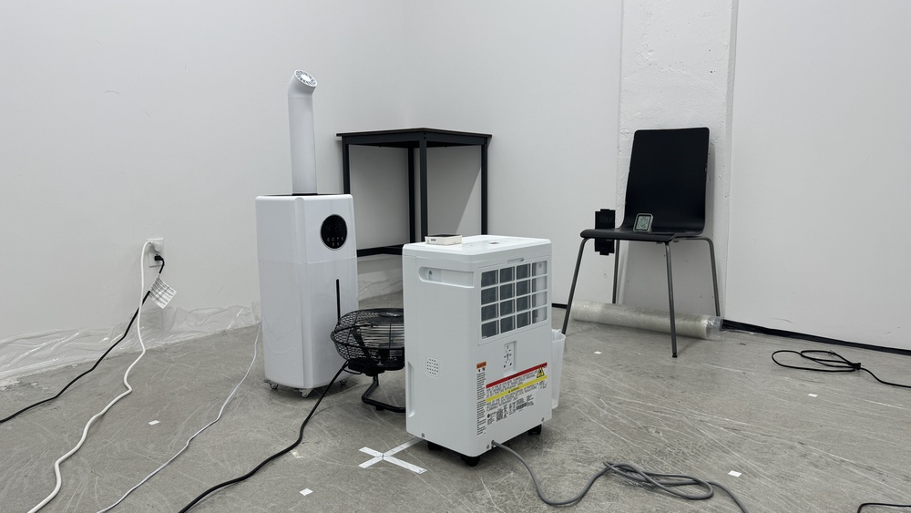 perceptual testing image