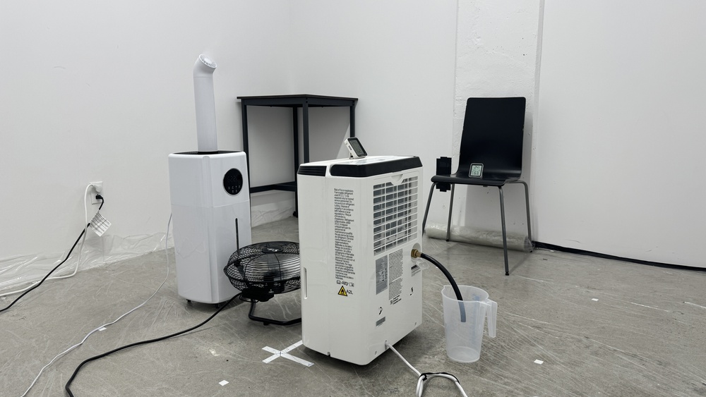 perceptual testing image