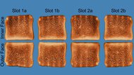 Breville the 'A Bit More' 4 Slice Toasting Evenness Photo
