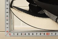 Dynafish Xiaonian Forefoot Rocker Photo