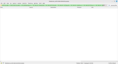 FastestVPN Wireshark IP And DNS Leak Screenshot