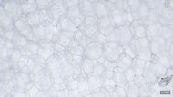 ASICS METASLEEK Primary Foam Picture