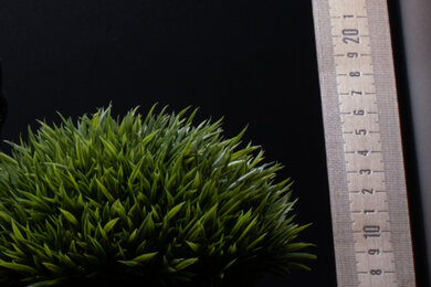 Fujifilm X-S10 Sharpness Scene Crop