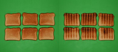 Wolf Gourmet Elite WGCO150S Unprocessed Toast Picture