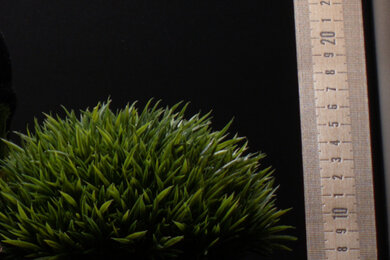 Panasonic LUMIX G100 Sharpness Scene Crop