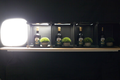 Canon EOS R6 Mark II Dynamic Range Scene