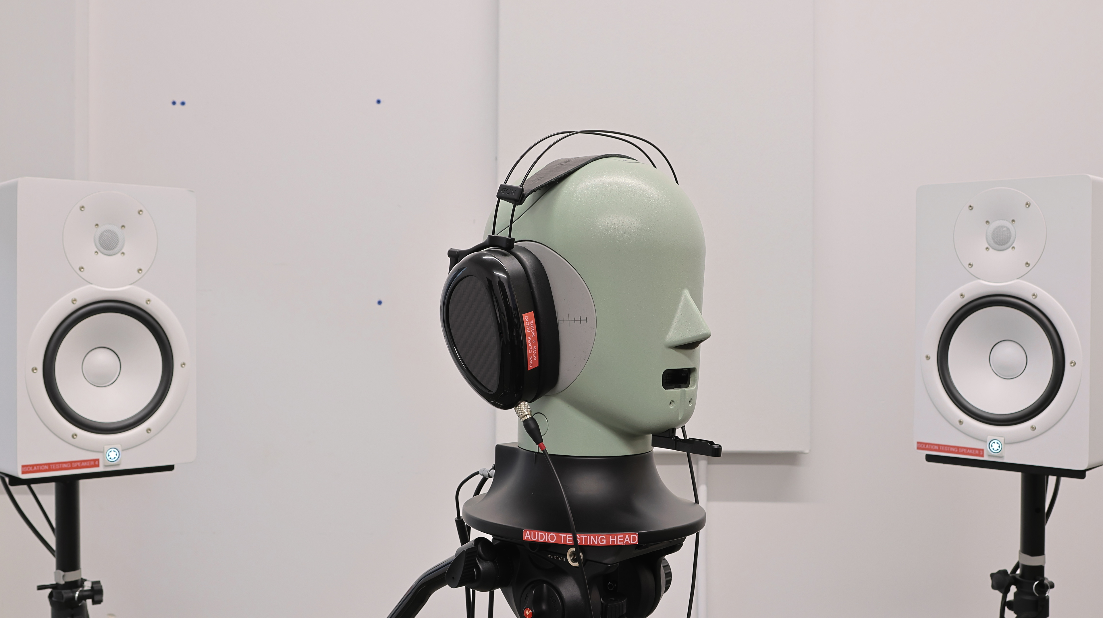 perceptual testing image