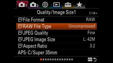 Sony α7R IIIa Screen Menu Picture