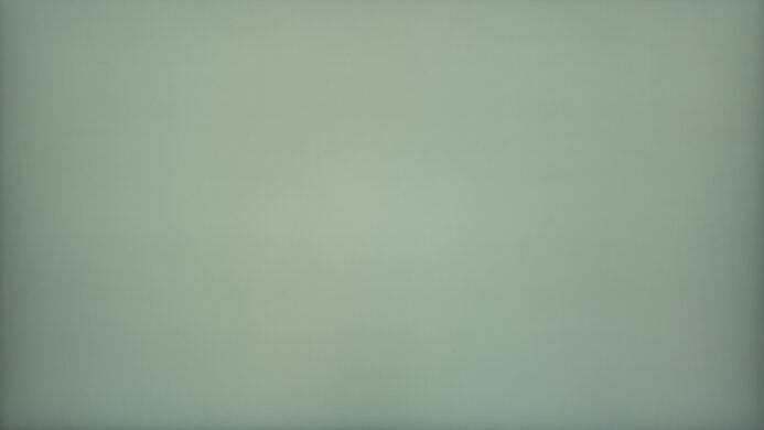 Dell G2725D 50% Uniformity Picture