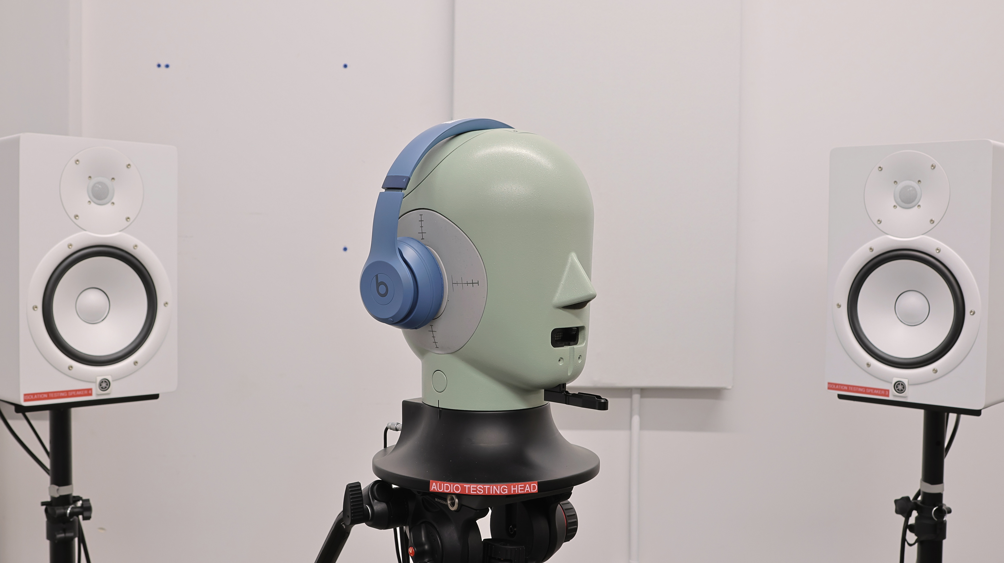 perceptual testing image