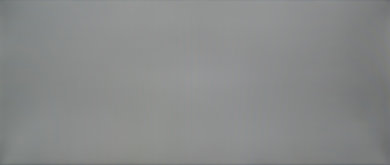 LG 29UM69G-B 50% Uniformity Picture