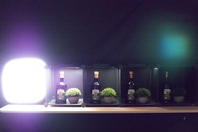 Panasonic LUMIX LX100 II Dynamic Range Scene