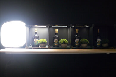 Canon EOS R8 Dynamic Range Scene